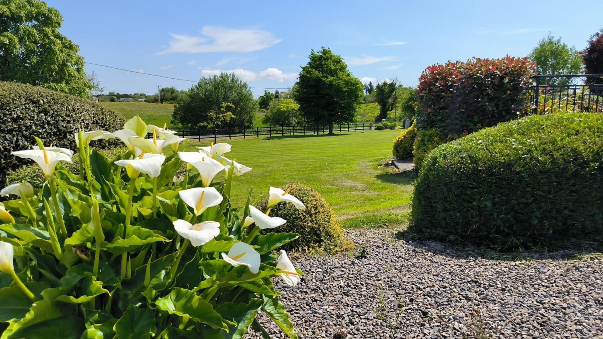 Swinford Country House 外观 照片