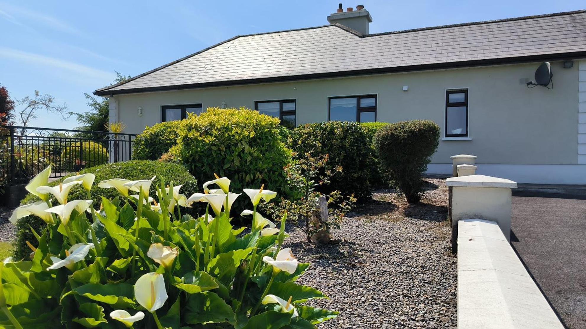 Swinford Country House 外观 照片